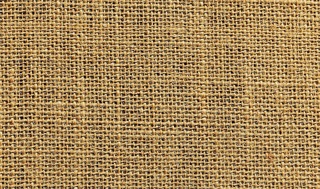 fabric in shopping-money-2
