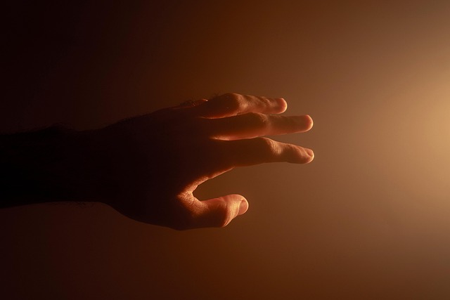 reach in plan-purpose
