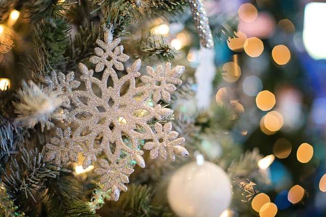 ornament in home-living-9