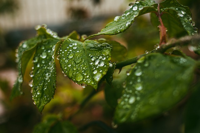 drip in health-medical-4
