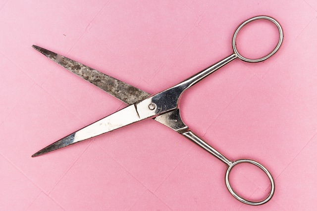 scissors in home-living-9