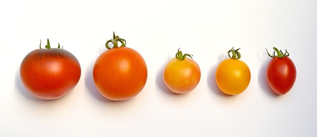 tomato in home-living-2