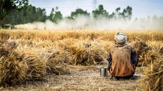 farmer in nature-environment-2