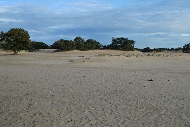 sandy in nature-environment-6