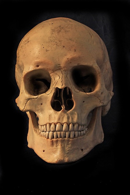 bone in health-medical