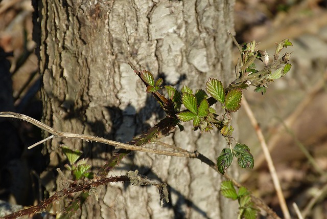 branch in economy-business-2