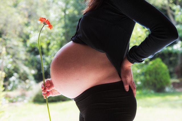 pregnancy in health-medical