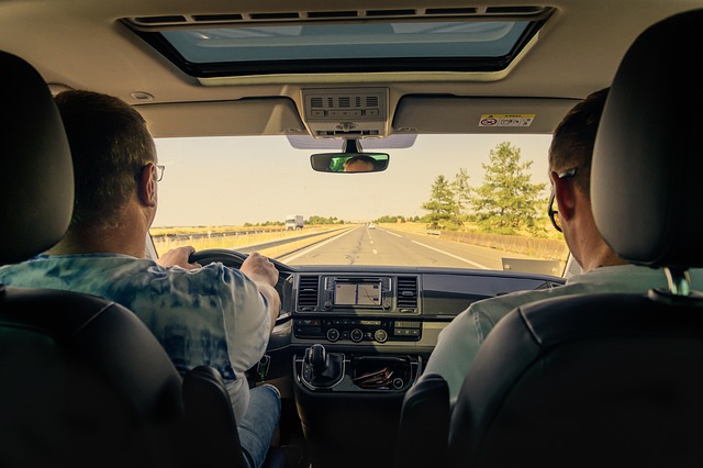 steer in transport-travel-2