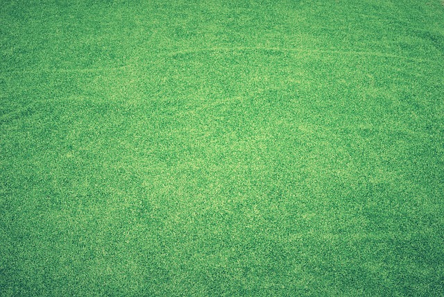 lawn in home-living-3