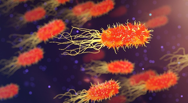 bacteria in health-medical-3