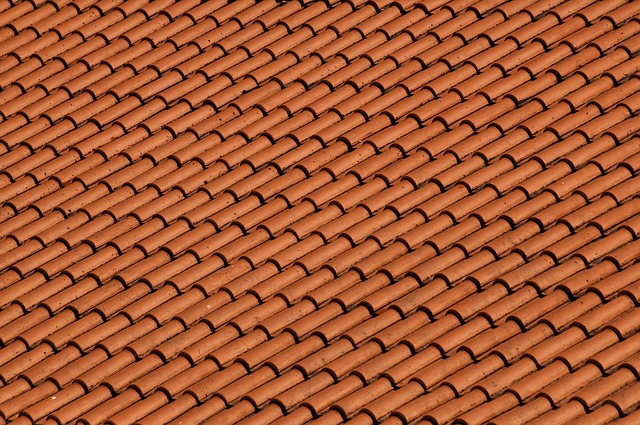 roof in home-living-2