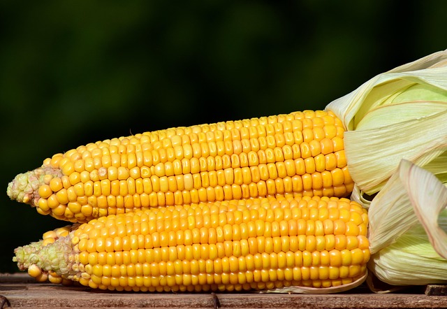 corn in home-living-2