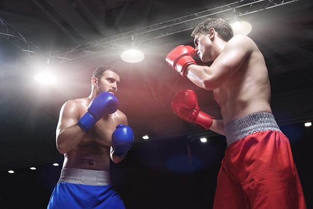 punch in sports-fitness-2