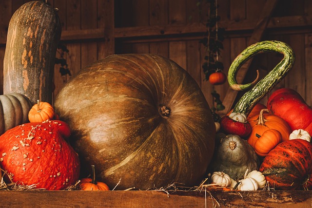 harvest in nature-environment-5