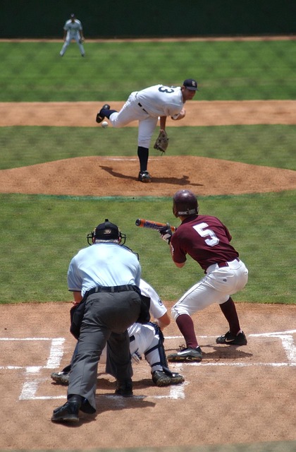 baseball in sports-fitness