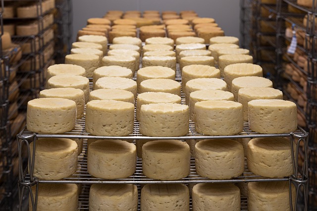 cheese in home-living-2