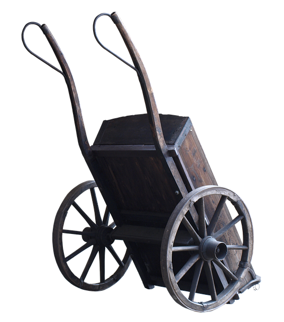 cart in shopping-money-2