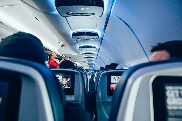 stewardess in transport-travel-3