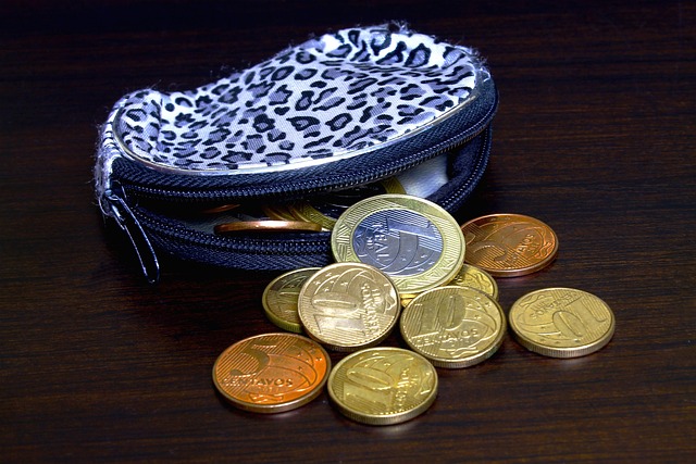 purse in shopping-money-2