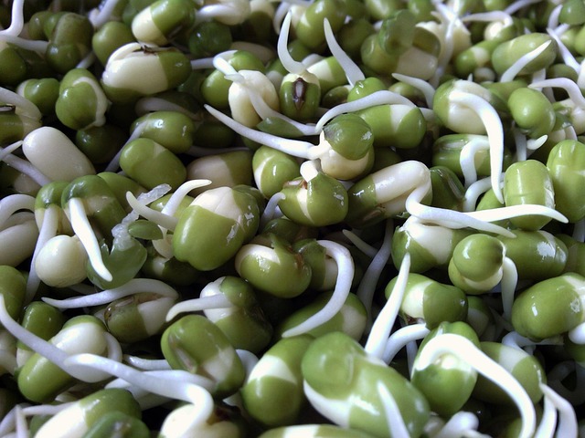 bean in home-living-2