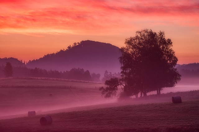 meadow in nature-environment-5