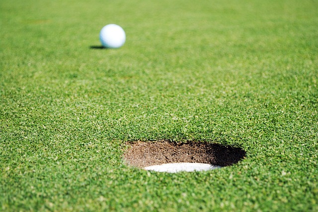 golf in sports-fitness