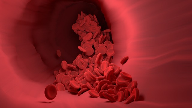 blood in health-medical