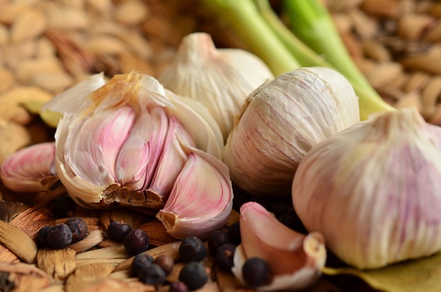 garlic in home-living
