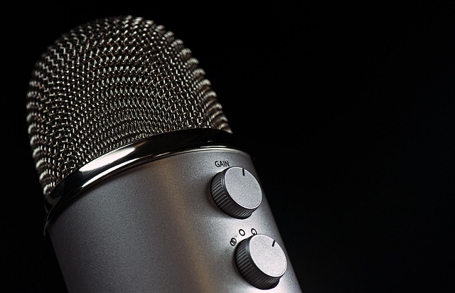 voice in communication-1