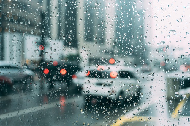 rainy in nature-environment-7