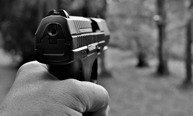 pistol in law-order-3