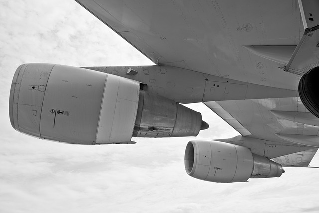 wing in transport-travel