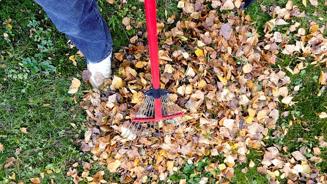 rake in home-living-9