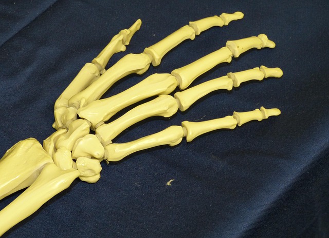 joint in health-medical-2