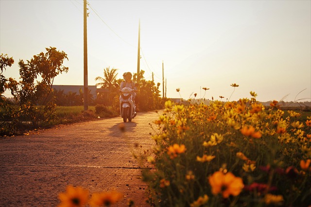 lane in transport-travel-2