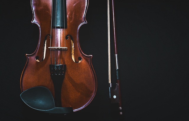 violin in media-entertainment-3