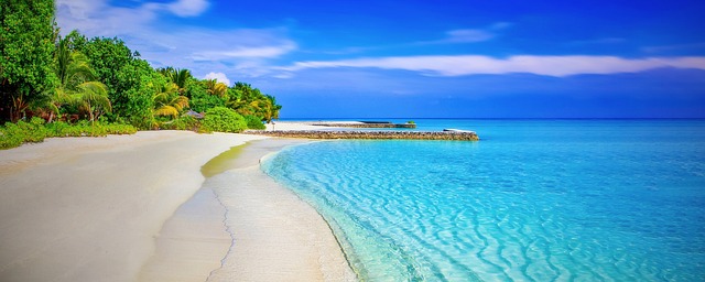 beach in nature-environment-2