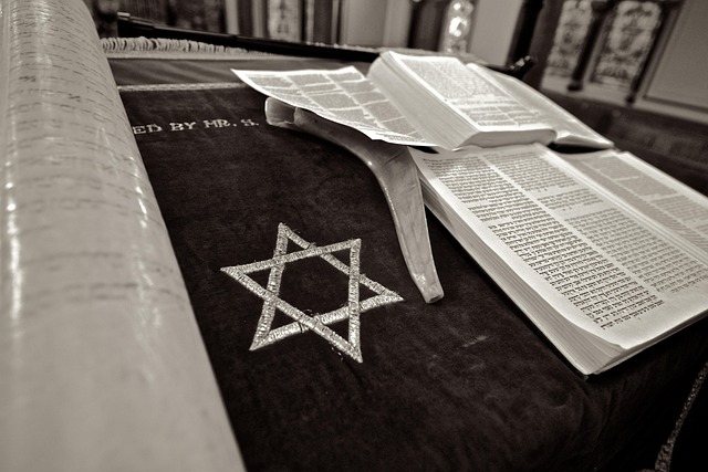 jewish in social-issues