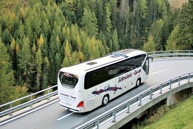 tour in transport-travel