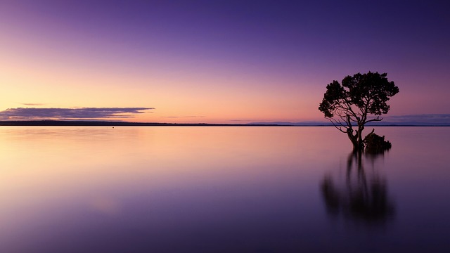 dusk in nature-environment-7