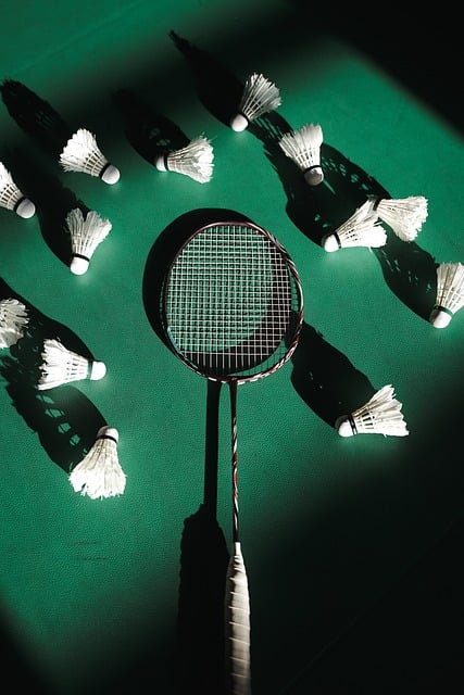 badminton in sports-fitness-2