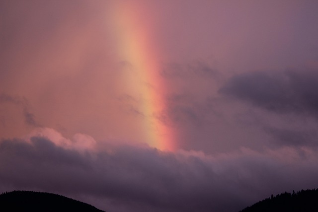 rainbow in nature-environment-7