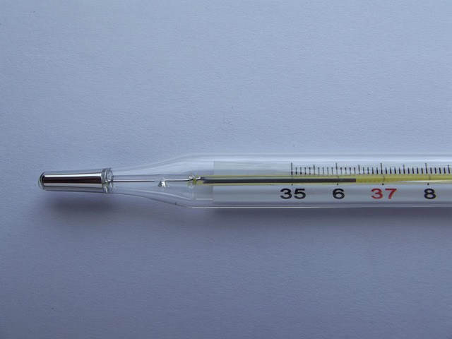 thermometer in health-medical-4