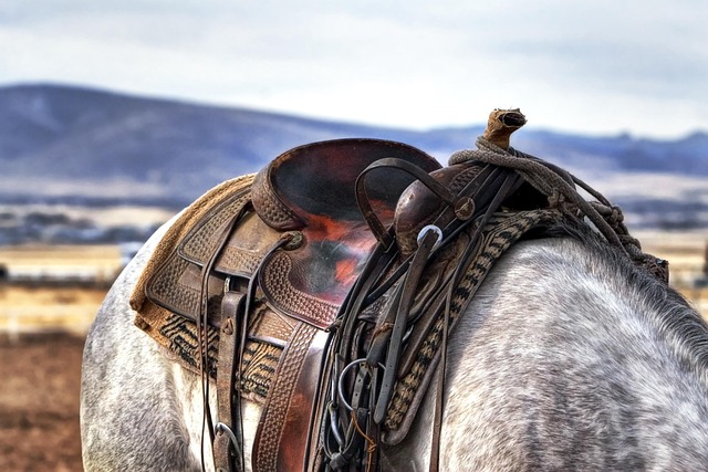 saddle in sports-fitness-2