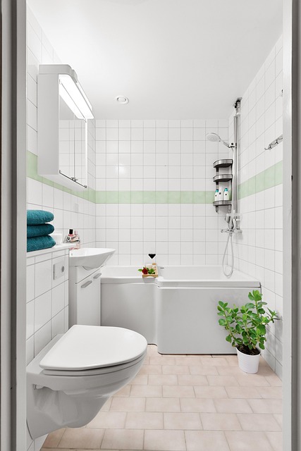 bathroom in home-living-2
