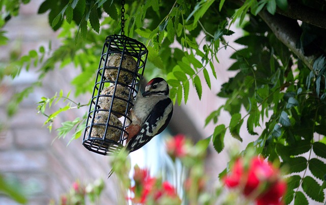 feed in home-living