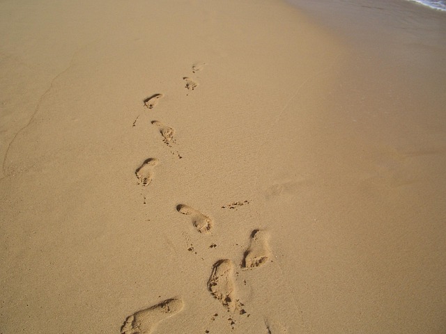 trail in nature-environment-2
