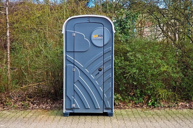 toilet in home-living-4