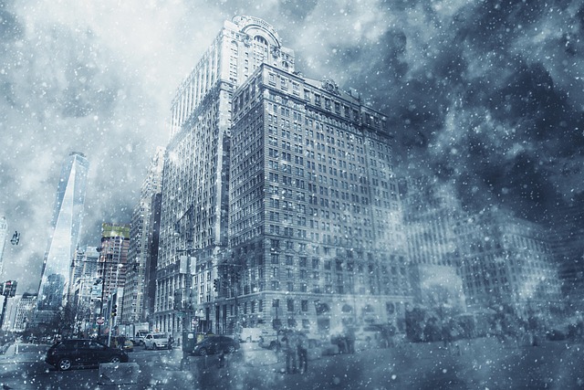 snowstorm in nature-environment-8