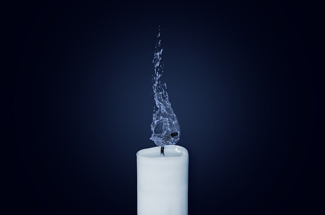 wax in home-living-8